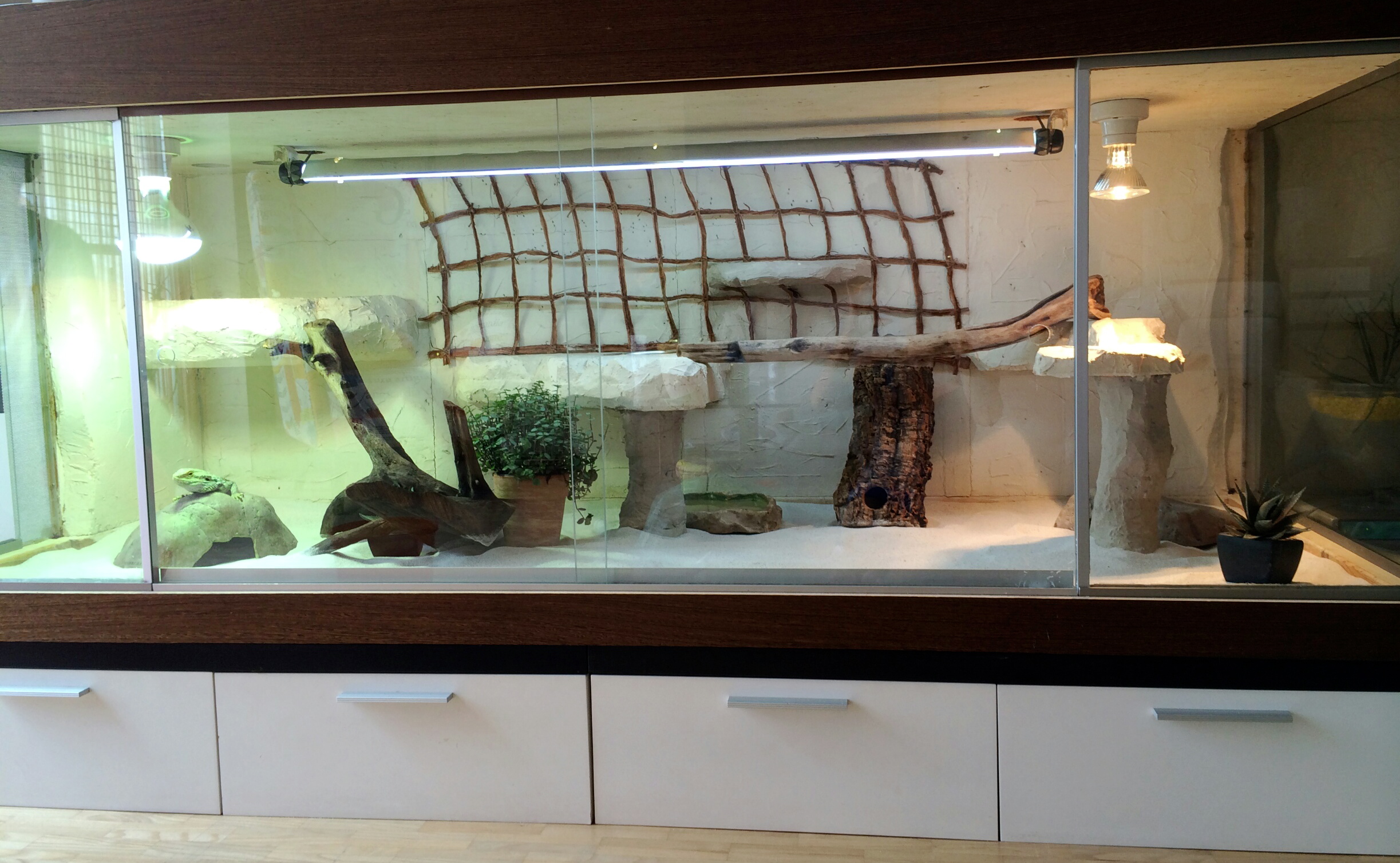Wie Viel Kostet Ein Terrarium Für Schildkröten Terrarium für Schildkröten NEU in Heilbronn | Tiere | Kleinanzeigen