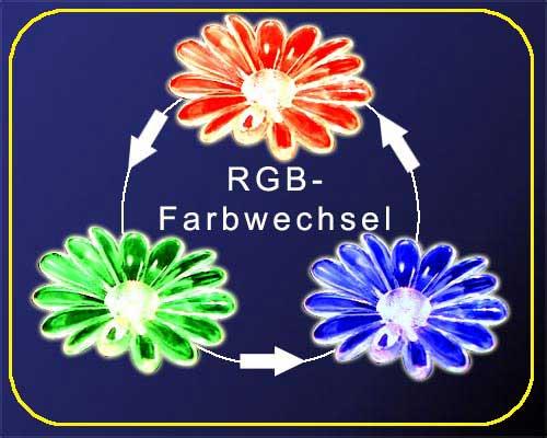 Stableuchte Solar Frosch LED Farbwechsel in Korschenbroich | Handwerk