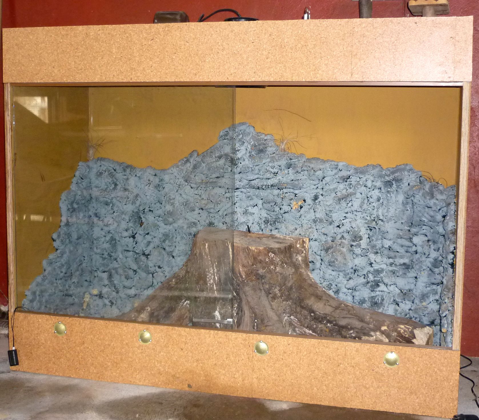 Kleinanzeigen terrarien seite 2 Holz rückwand