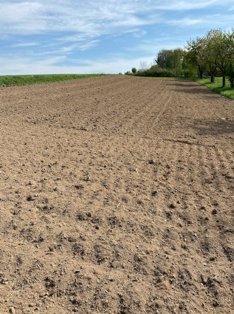 Gemüsegarten Garten Acker Feld zur saisonalen Pacht in