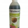Fruchtsirup Honigmelone Für Bubble Tea 0.5L 500ml 100% Vegan