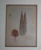 4 Bilder von Bruno Bruni Originallithografie mit Rahmen ca. 62,  5 x 82 cm.