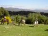 Andalusien,  Reiterhof