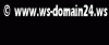 ws Domains - deine Chance