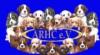 Internationale Rassehundeausstellung