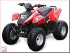 ATV/ QUAD 50,  100,  150,  250 ccm