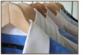 Maßhemden u. Blusen 29, 90 € -