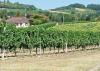 BERGERAC,  französischer Wein auf deutsch ....