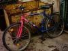 Mitfahrgelegenheit für Fahrrad gesucht