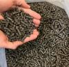 Pellets Sonnenblumen-Pellets 6 mm /  Brennstoffe
