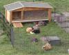 Meerschweinchen aus NRW zu Abgabe!