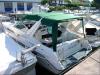 SEA RAY 310 DA