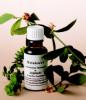 Wellnessprodukte auf Naturbasis