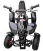 Quad,  ca. 60 km/ h schnell