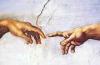 Gicht,  Cholesterin,  Rhema,  Blutdruck etc.