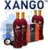 XanGo XanGo Deutschland  Start
