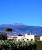 Finca Fugaz in Puerto de la Cruz