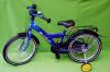 Delphin Modell 2006