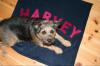 Niedliche Hundedecken mit Namen,  Handarbeit