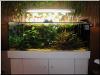 wegen Hobbyaufgabe 500 l Komplettaquarium zu verkaufen
