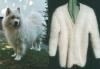 Verspinnen von ausgekämter Hundewolle