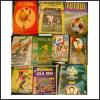 Alle WM Panini Alben von 1970-2006 ohne Fehlbild