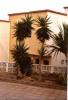 Ferienhaus Teneriffa Süd San Isidro,  El Medano