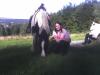 SUCHE REITBETEILIGUNG IN ISERLOHN !!!!!