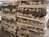 Frische reine Buche