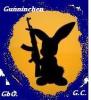 Schreckschuss,  Luftgewehr,  Luftpistole,  Deco,  Deko,  Salut,  Gewehre,  Karabiner,  W