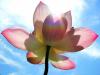CranioSacral Yoga & Coaching