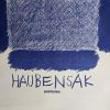 Ausstellungs Plakat Pierre Haubensak  CH 1963 Lausanne Bonnier