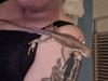Suche Weibliche/ n Wüstenleguan 