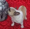 Suche neues Zuhause