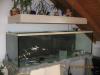 2 METER AQUARIUM