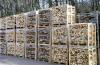 Brennholz aus Buche,  Hainbuche und Esche,  hart und trocken
