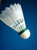 Badminton Freizeitgruppe sucht noch Mitspieler/ innen.