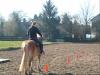 Qualifizierten Westernreitunterricht im Großraum Hannover