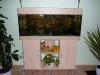Komplett-Aquarium 240l 6 Monate