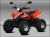 Quad-ATV Dolphin 50cc mit Zulassung das Schärfste,  was man ab 16 Jahren auf vier