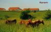 Ranch,  Farm,  Reitstall