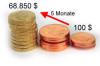 Top-Investment: 100 $ 5 Monate = 68.850 $