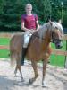 Suuuuche Reitbeteiligung in 21....einfach mal lesen :-)