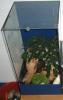 zwei alte Aquarien für Bastler zu verkaufen