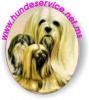 mobiler Hundesalon