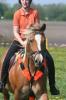 Suche/ Biete Reitbeteiligung in Achim/ Badenermoor