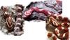 Kornies aus Kiel: Hypo,  Classic,  Amel