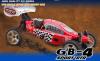1/ 10 Verbrenner Nitro Buggy 100 km/ h Neu/ OVP-