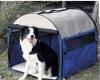 faltbare Hundebox,  Hundehütte - jetzt auch als Pet-Camper M