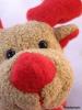 Weihnachten mit Petdomain.de